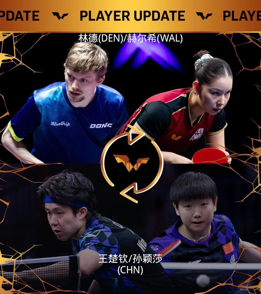 TYC相关图片