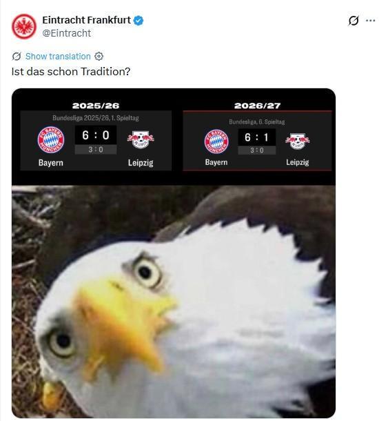 专业TYC服务